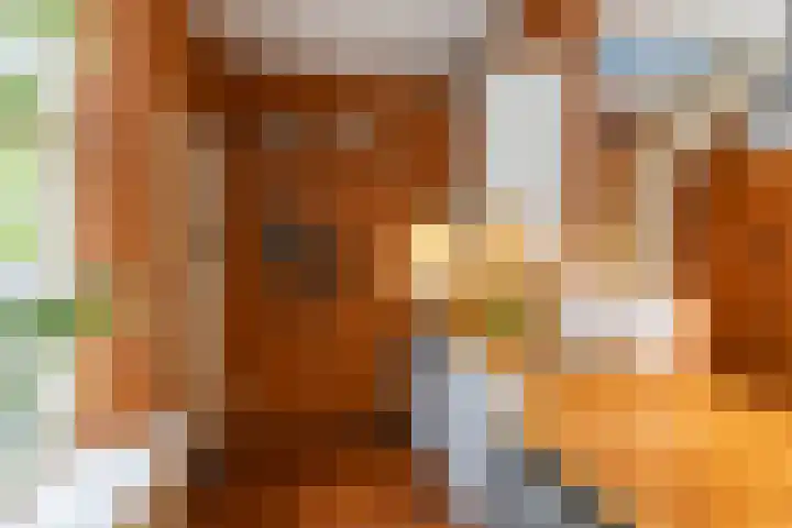 Rodeweg 24 Groningen thumbnail 15
