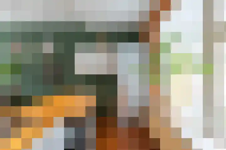 Rodeweg 24 Groningen thumbnail 16