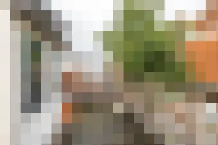 Rodeweg 24 Groningen thumbnail 34