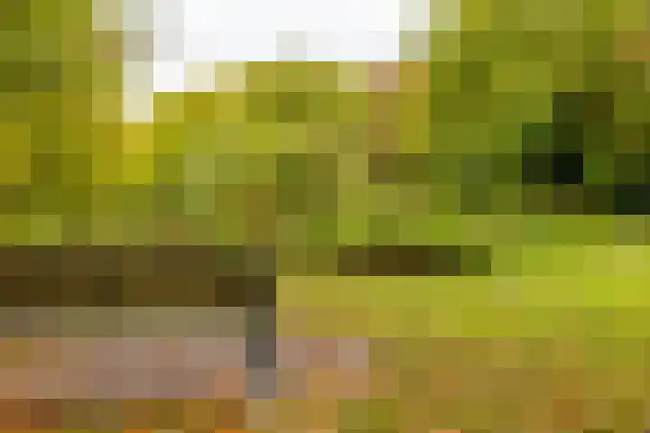 Rodeweg 24 Groningen thumbnail 35