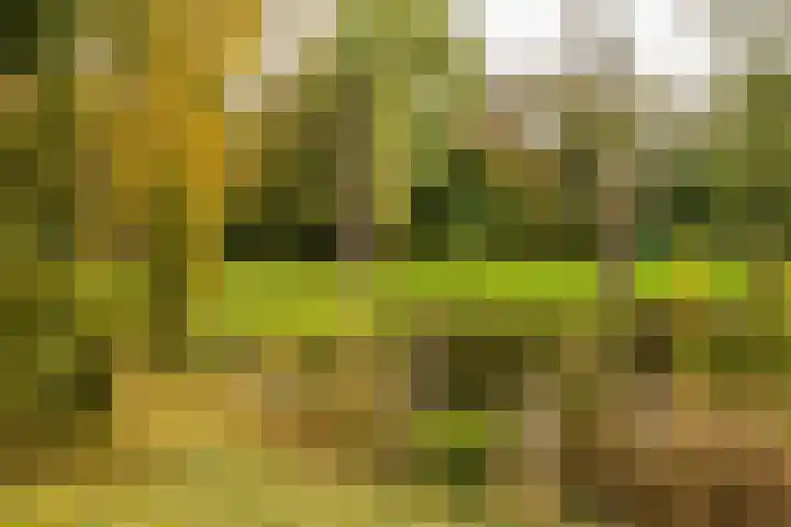 Rodeweg 24 Groningen thumbnail 36