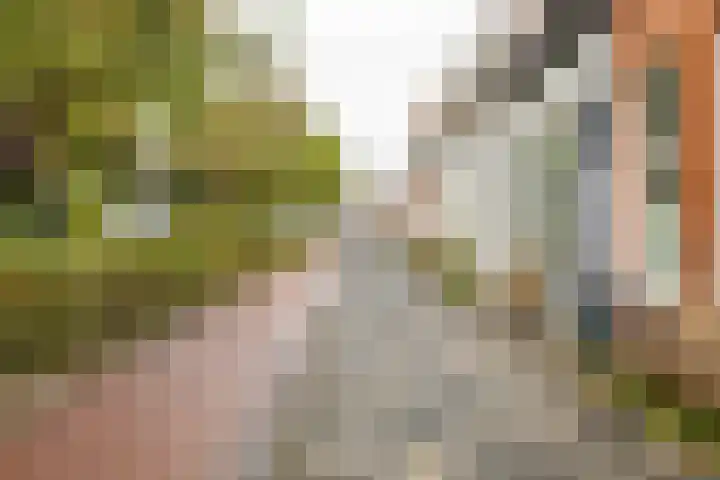 Rodeweg 24 Groningen thumbnail 5