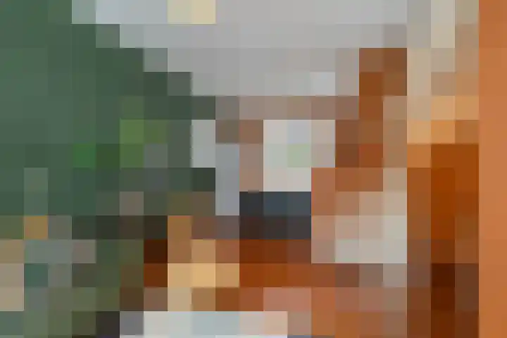 Rodeweg 24 Groningen thumbnail 9