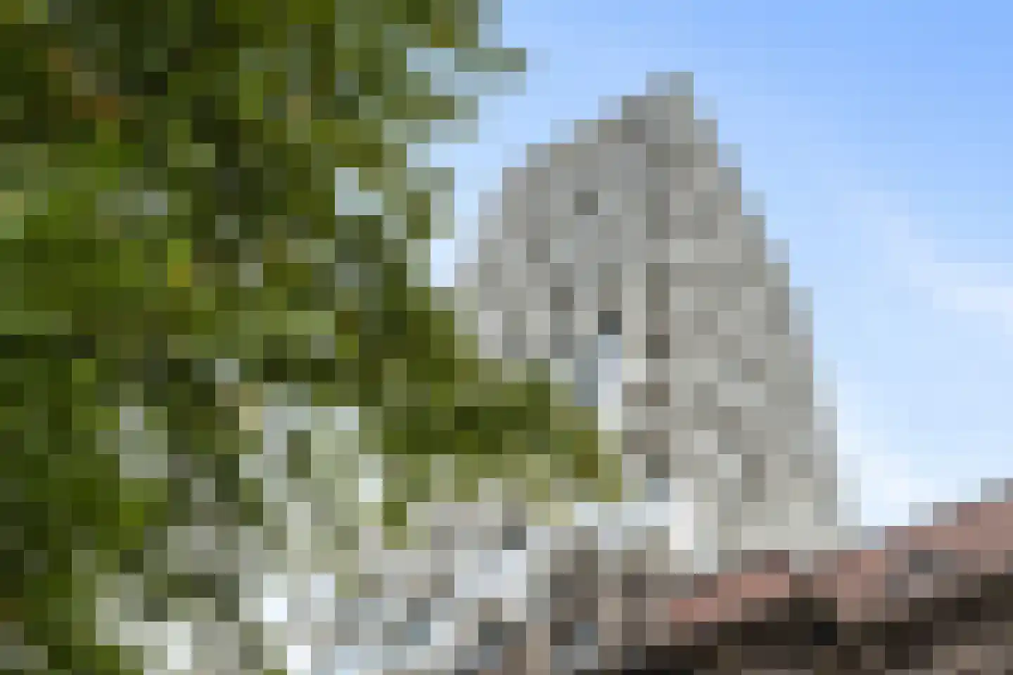Rodezand 3 C 36 Rotterdam thumbnail 26