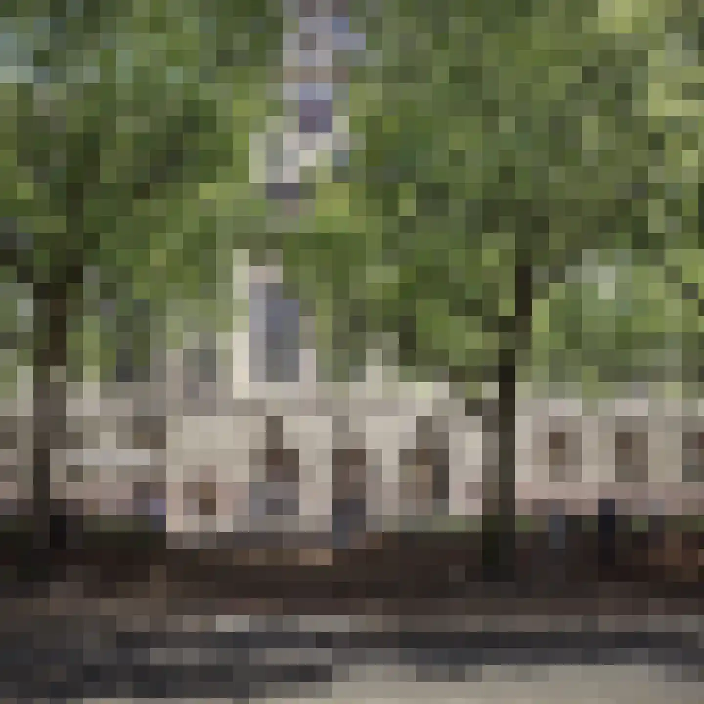 Rodezand 3 C 43 Rotterdam thumbnail 7