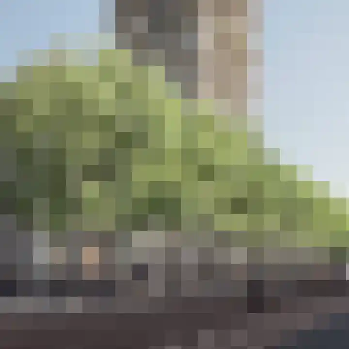 Rodezand 3 E 12 Rotterdam thumbnail 6