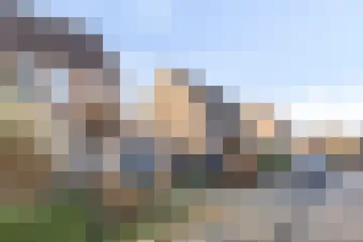 Rodingsveen 79 's-Heerenberg thumbnail 7