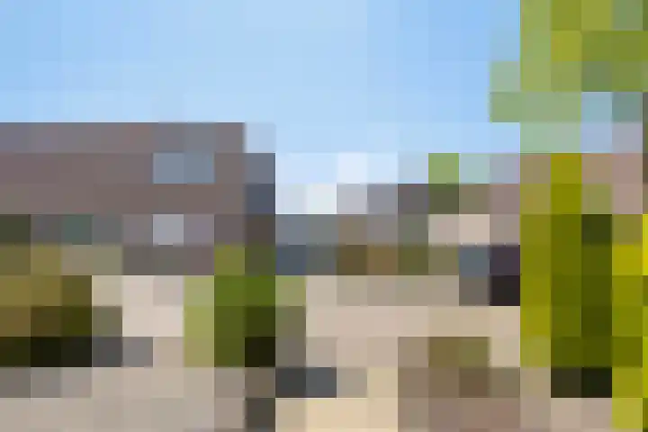 Rodingsveen 90 's-Heerenberg thumbnail 4