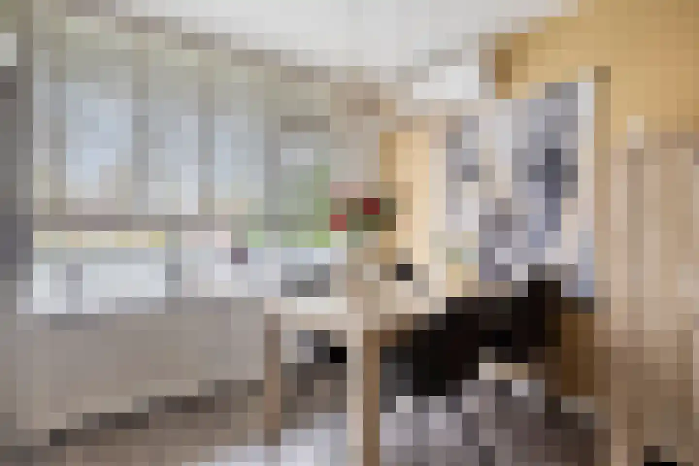 Rodinrade 32 Capelle aan den IJssel thumbnail 7