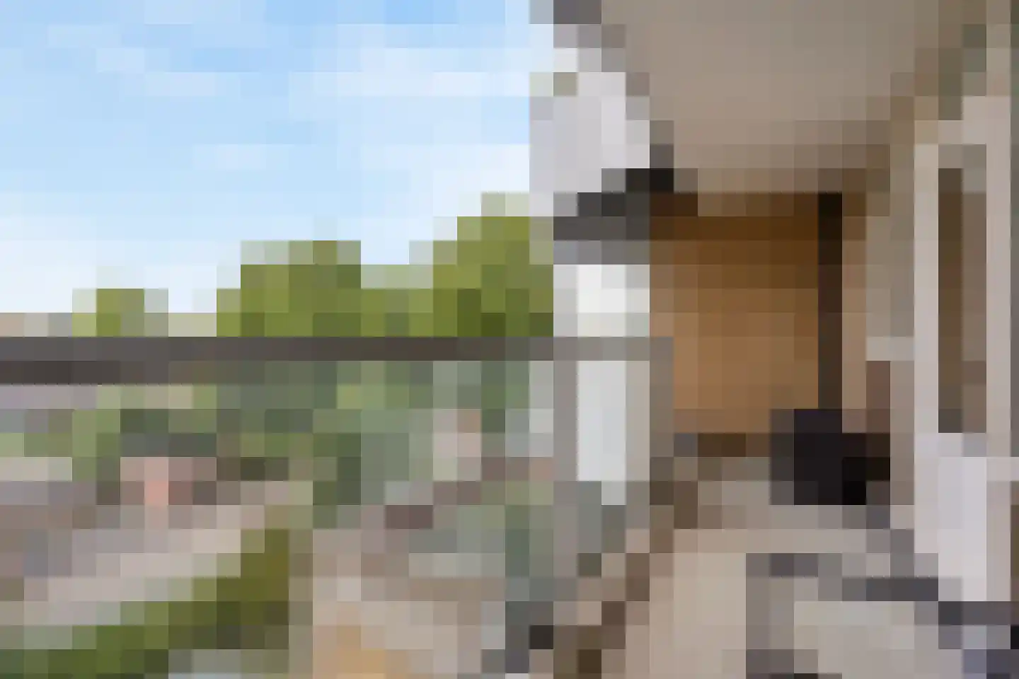 Rodinrade 86 Capelle aan den IJssel thumbnail 24