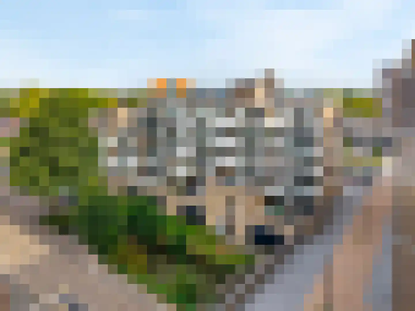 Rodinrade 86 Capelle aan den IJssel thumbnail 50