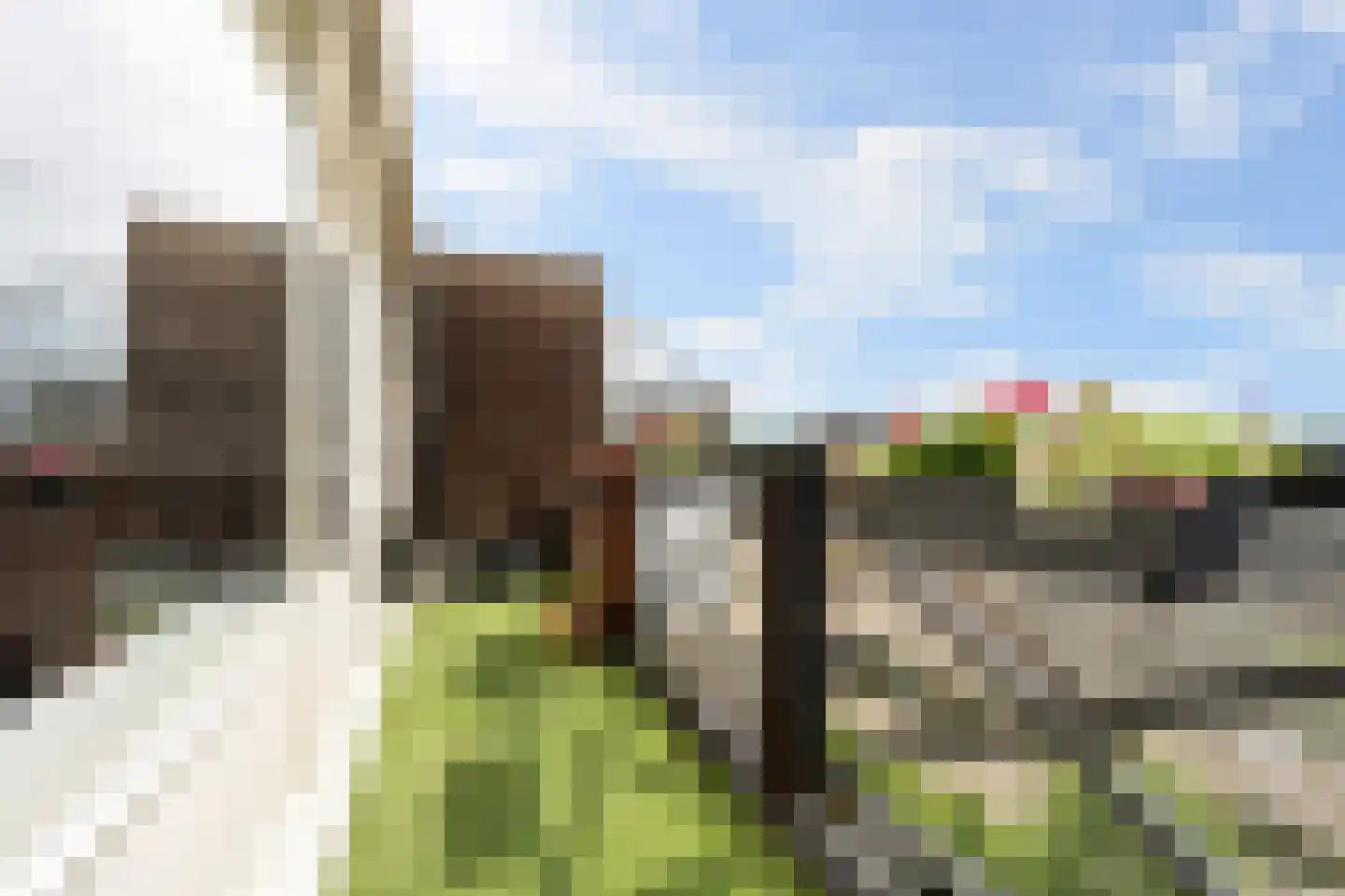 Rodinrade 98 Capelle aan den IJssel thumbnail 16