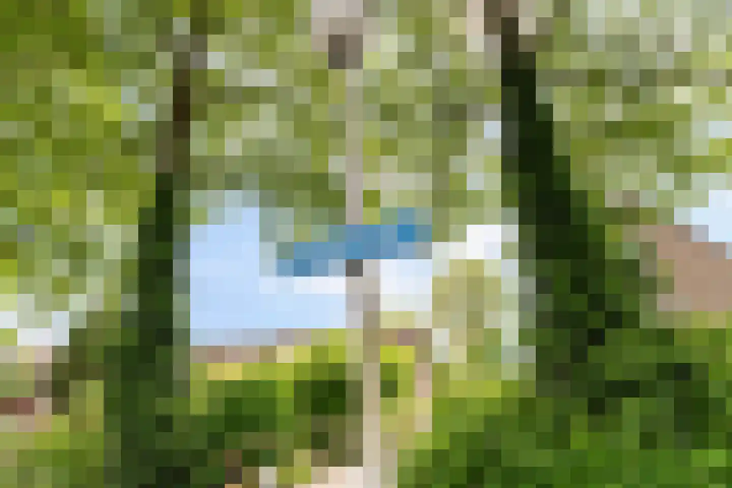Rodinrade 98 Capelle aan den IJssel thumbnail 33