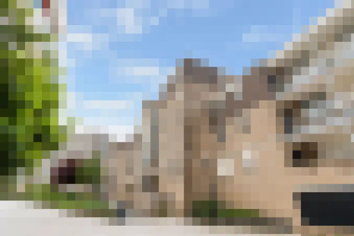 Rodinrade 98 Capelle aan den IJssel thumbnail 36