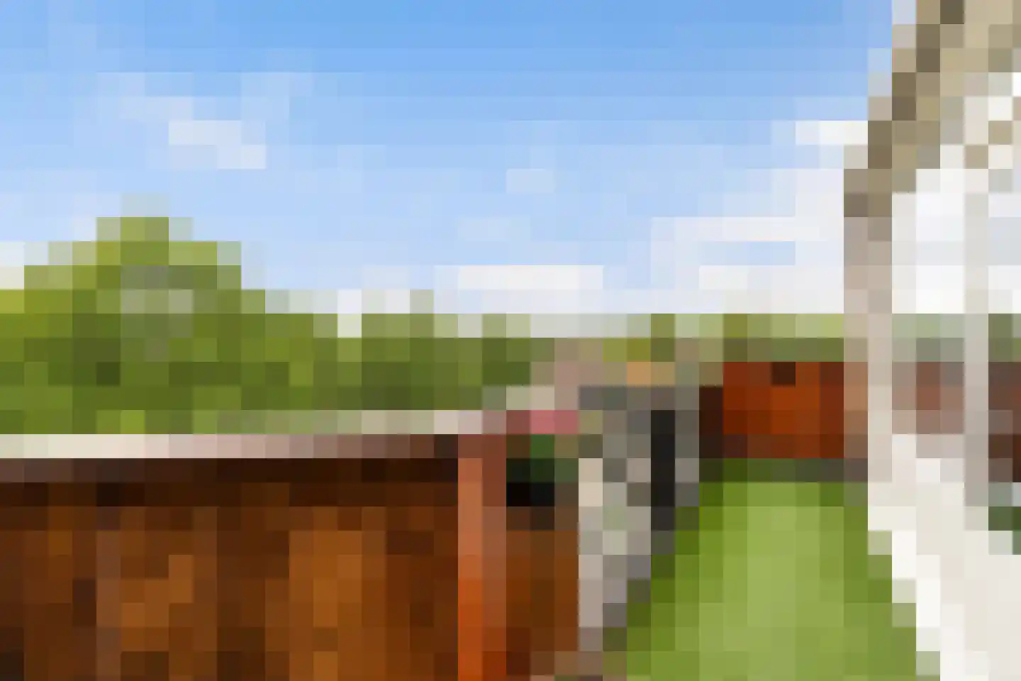 Rodinrade 98 Capelle aan den IJssel thumbnail 4