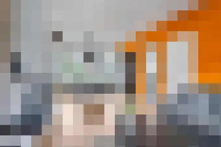 Rodinstraat 13 Eindhoven thumbnail 11