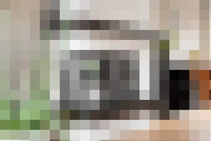 Rodinstraat 13 Eindhoven thumbnail 12