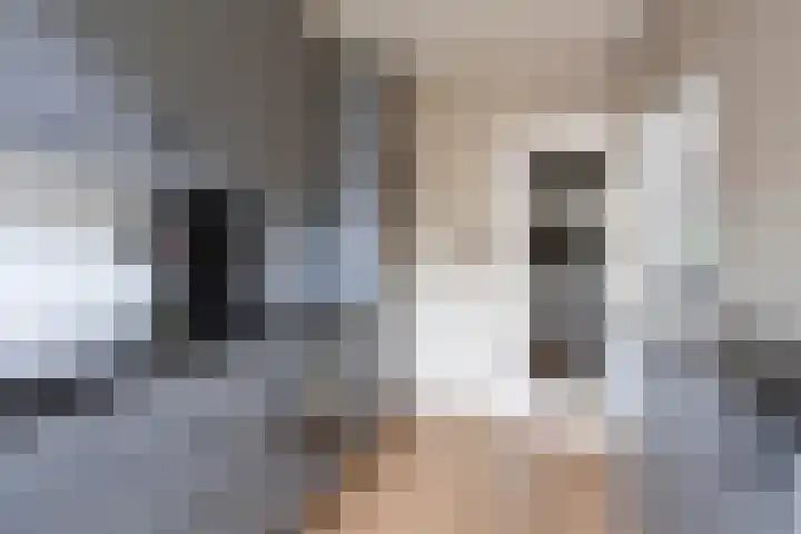 Rodinstraat 13 Eindhoven thumbnail 17