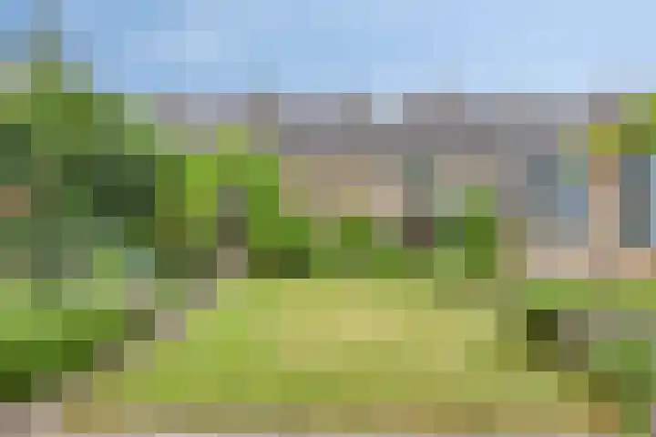 Rodinstraat 13 Eindhoven thumbnail 29