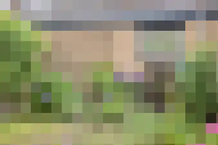 Rodinstraat 13 Eindhoven thumbnail 31