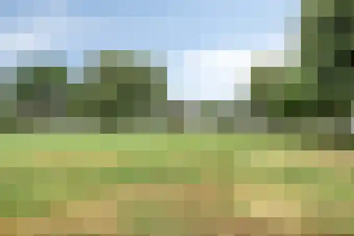 Rodinstraat 13 Eindhoven thumbnail 33