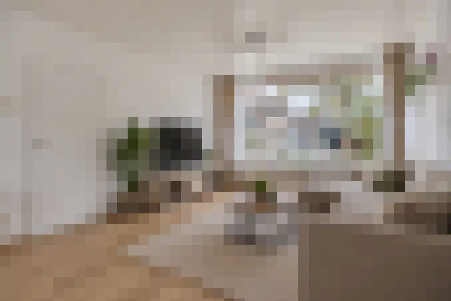 Rodinstraat 24 Eindhoven thumbnail 16