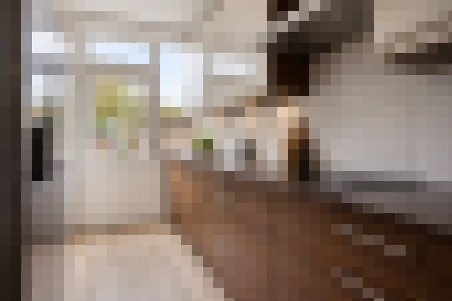 Rodinstraat 24 Eindhoven thumbnail 4