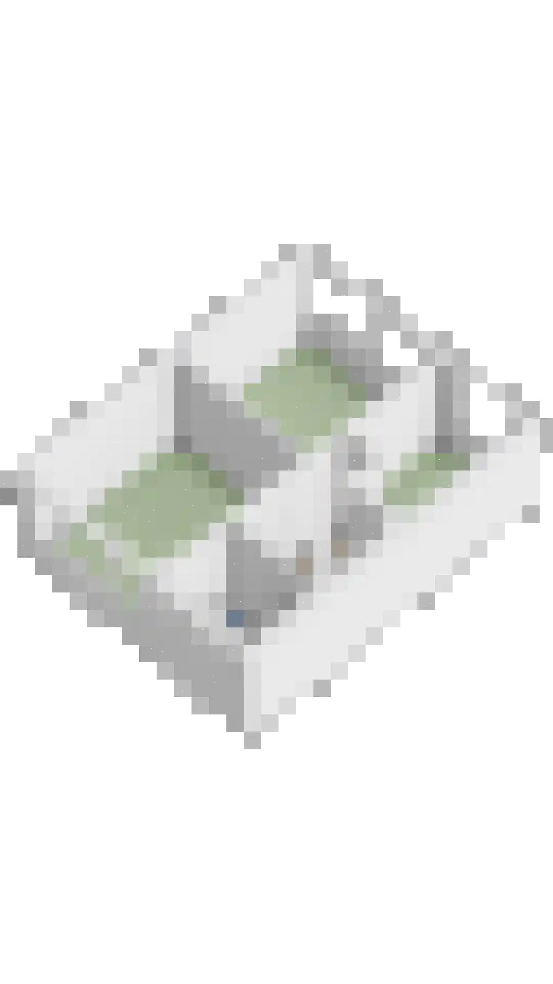 Rodinstraat 24 Eindhoven thumbnail 41
