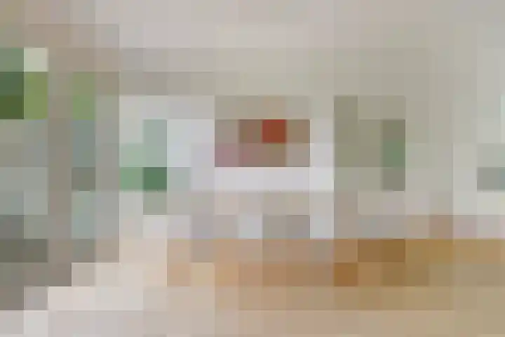 Rodinstraat 27 Eindhoven thumbnail 14
