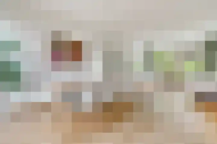 Rodinstraat 27 Eindhoven thumbnail 17