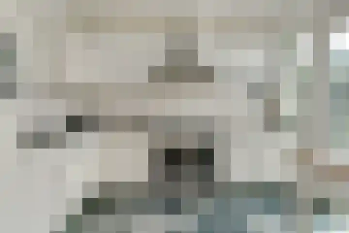 Rodinstraat 27 Eindhoven thumbnail 19
