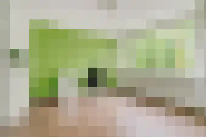 Rodinstraat 27 Eindhoven thumbnail 25