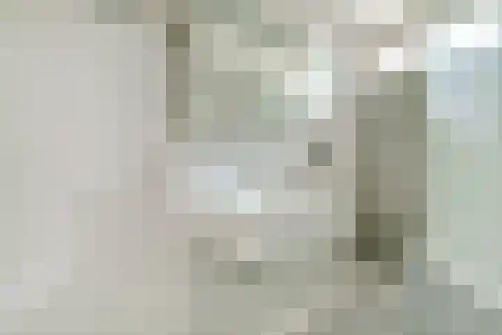 Rodinstraat 27 Eindhoven thumbnail 30