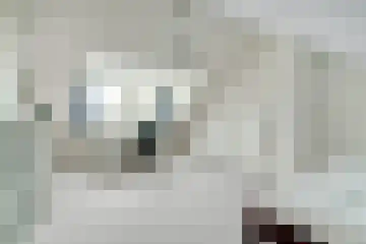 Rodinstraat 27 Eindhoven thumbnail 33