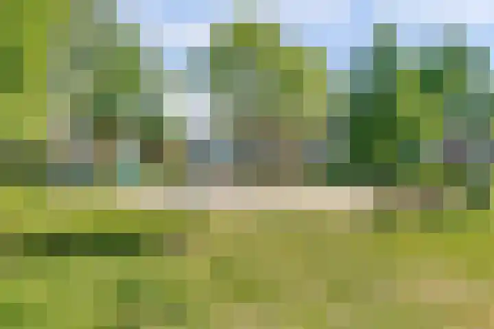 Rodinstraat 27 Eindhoven thumbnail 42
