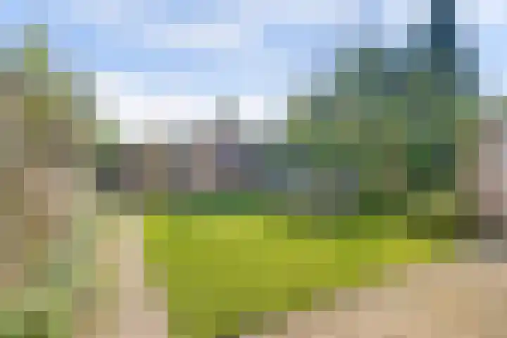 Rodinstraat 27 Eindhoven thumbnail 43