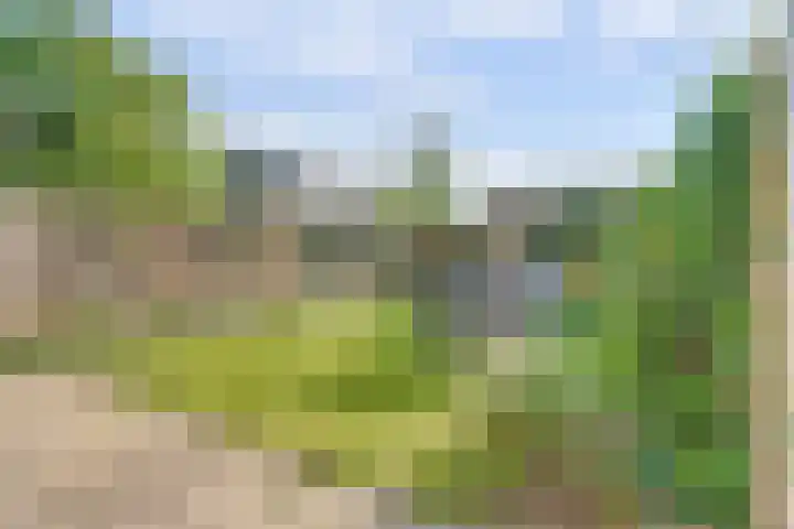 Rodinstraat 27 Eindhoven thumbnail 44