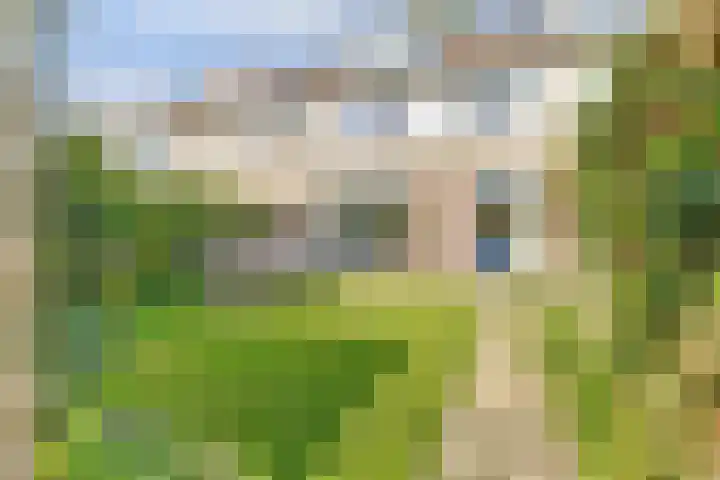 Rodinstraat 27 Eindhoven thumbnail 45