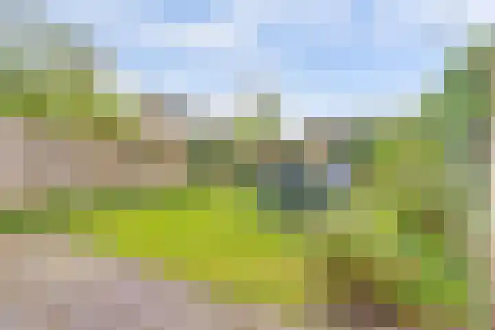 Rodinstraat 27 Eindhoven thumbnail 46