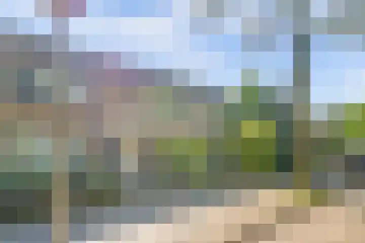 Rodinstraat 27 Eindhoven thumbnail 47
