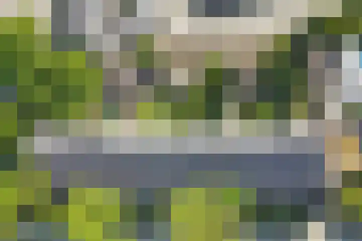 Rodinstraat 27 Eindhoven thumbnail 50