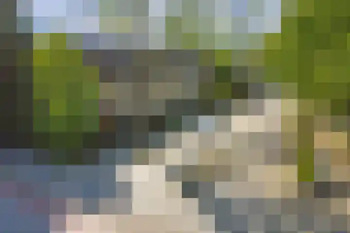 Rodinstraat 27 Eindhoven thumbnail 51