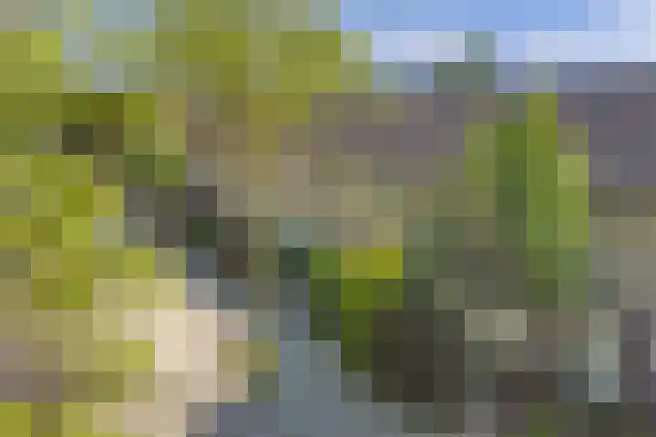 Rodinstraat 27 Eindhoven thumbnail 52