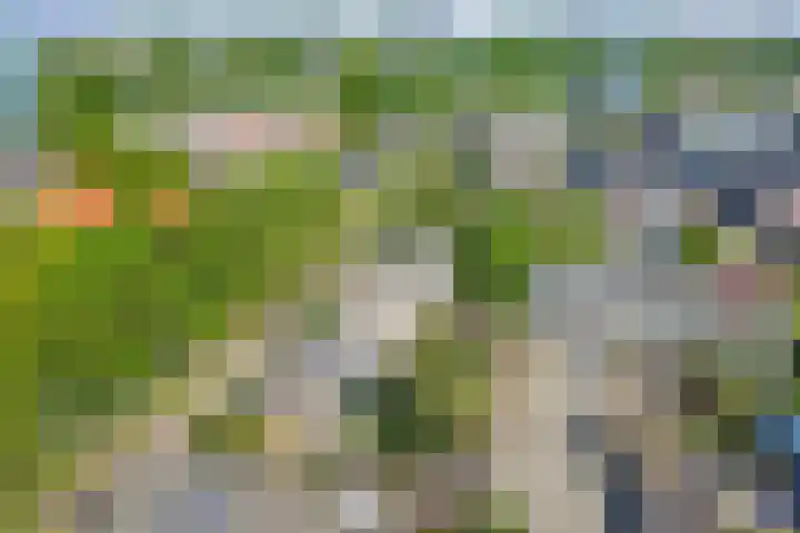 Rodinstraat 27 Eindhoven thumbnail 53