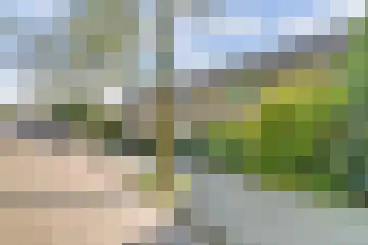 Rodinstraat 27 Eindhoven thumbnail 6