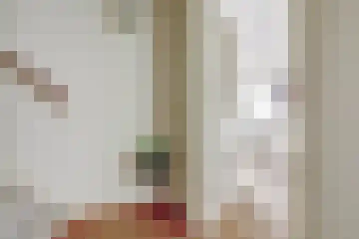 Rodinstraat 27 Eindhoven thumbnail 8