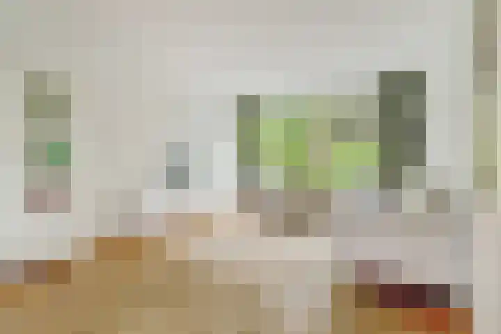 Rodinstraat 27 Eindhoven thumbnail 9