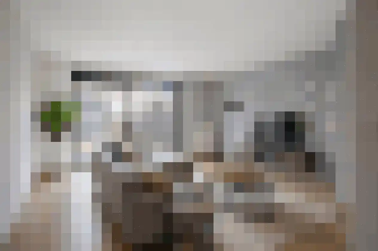 Rodinweg 29 Almere thumbnail 12