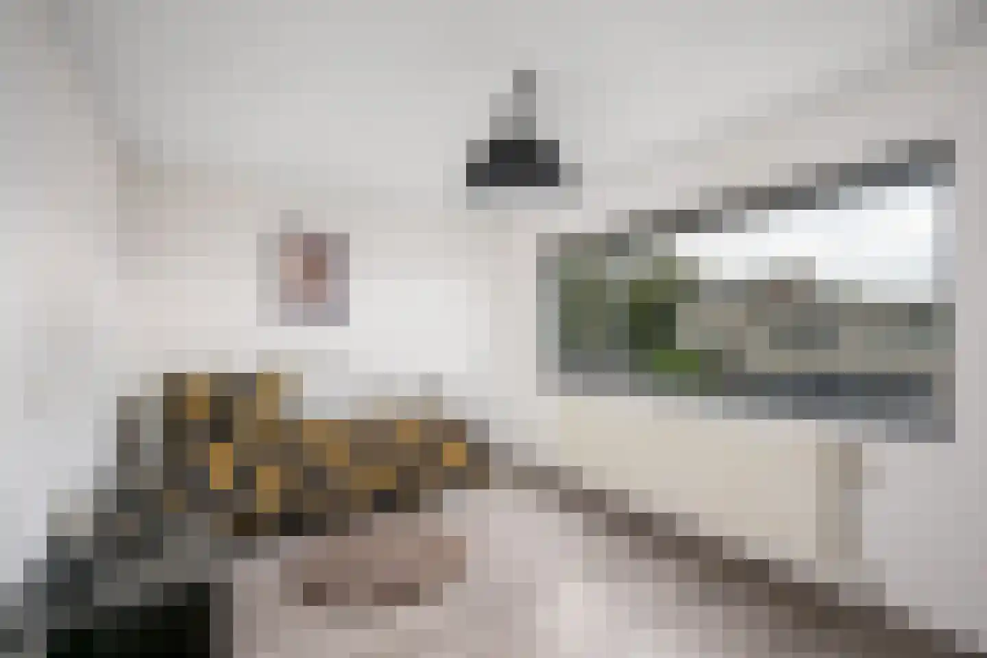 Rodinweg 29 Almere thumbnail 19