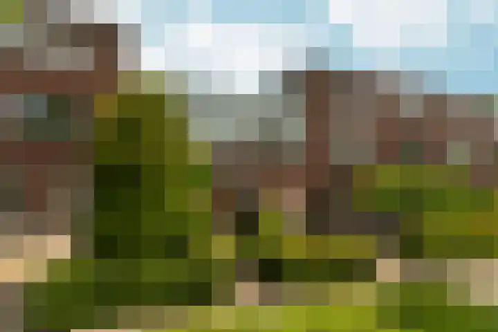 Rodinweg 71 Almere thumbnail 6